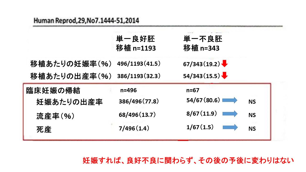 移植28.jpg