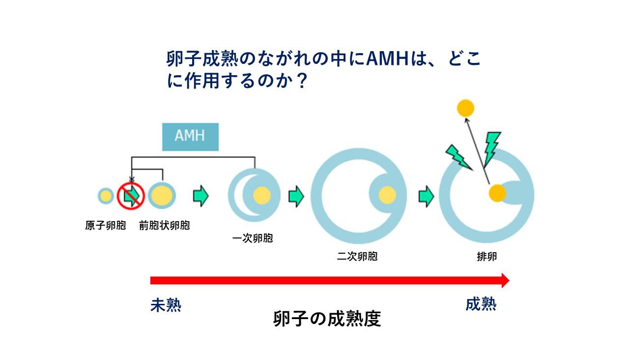 FB 図　変更　清須 [自動保存済み].jpg