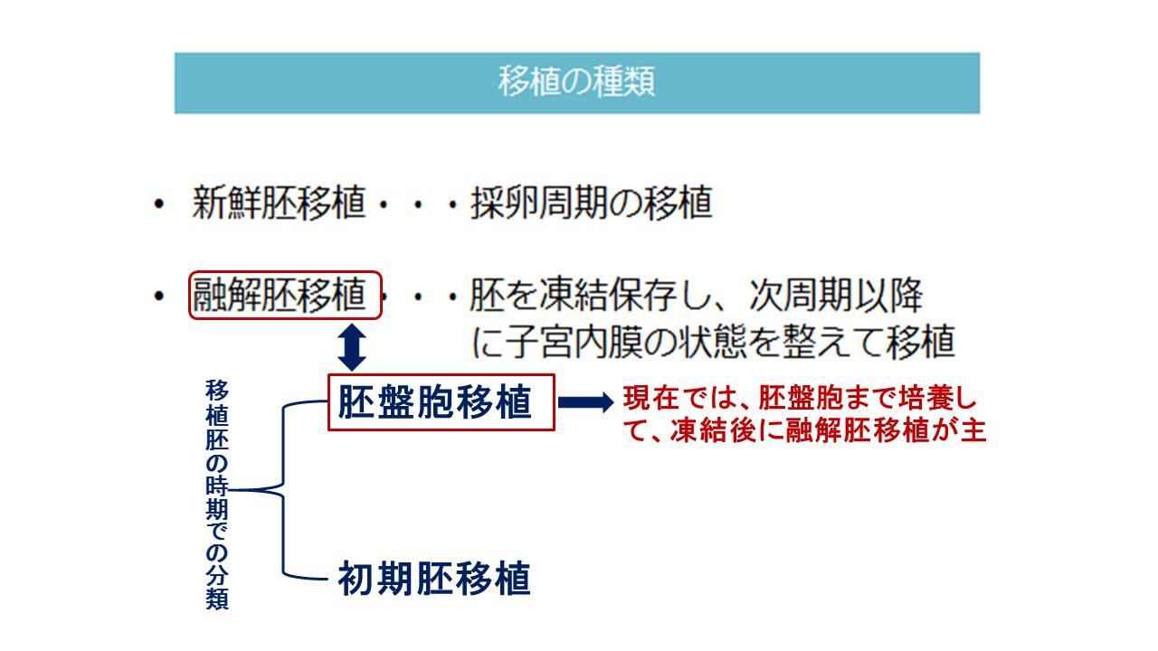 移植⑩.jpg