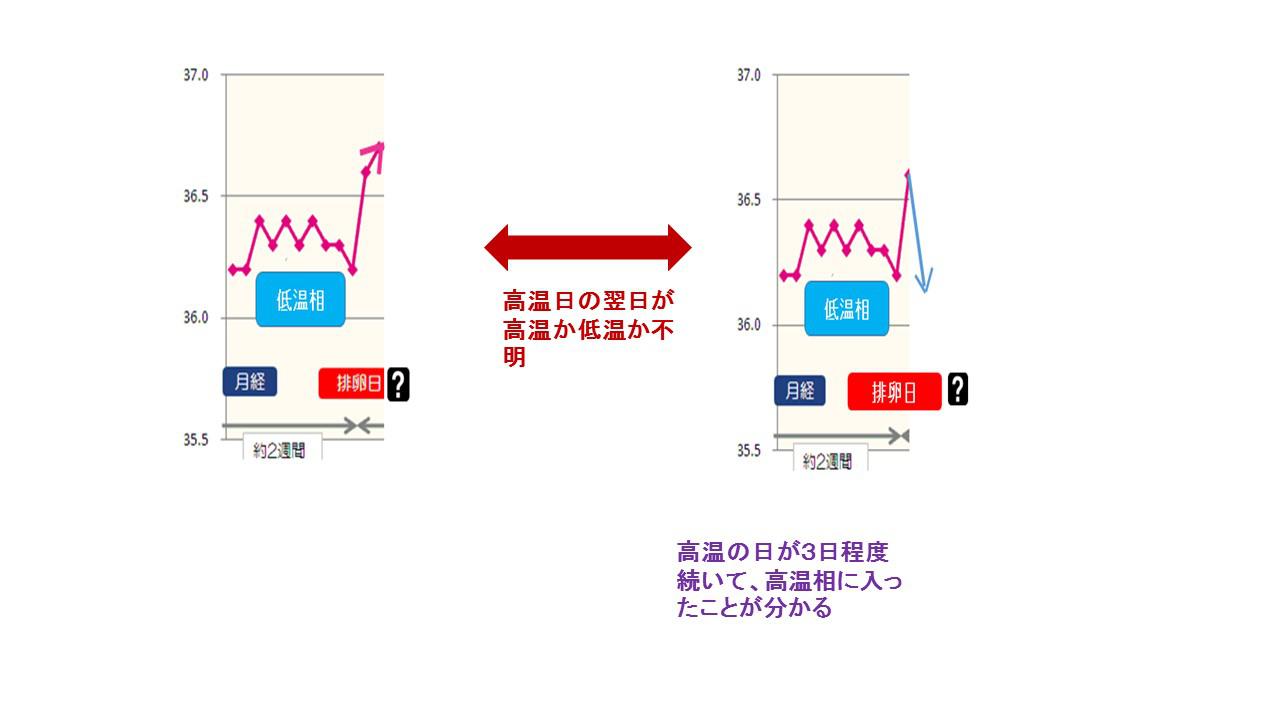 不妊原因と検査.jpg