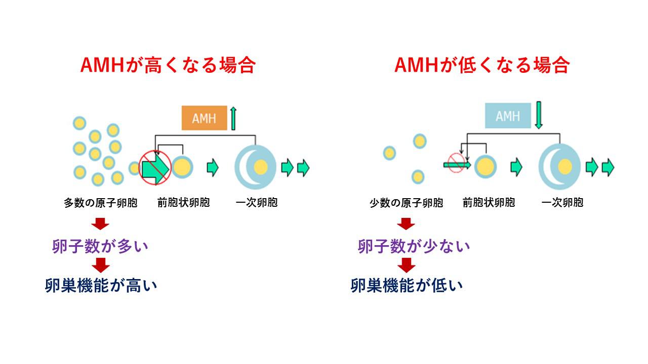 FB 図　変更　清須 [自動保存済み].jpg