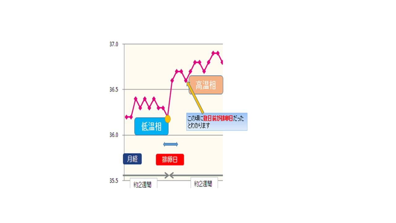 不妊原因と検査２.jpg