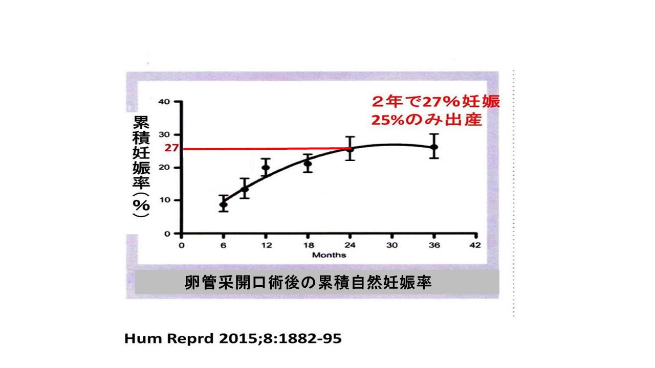 不妊原因と検査1.jpg