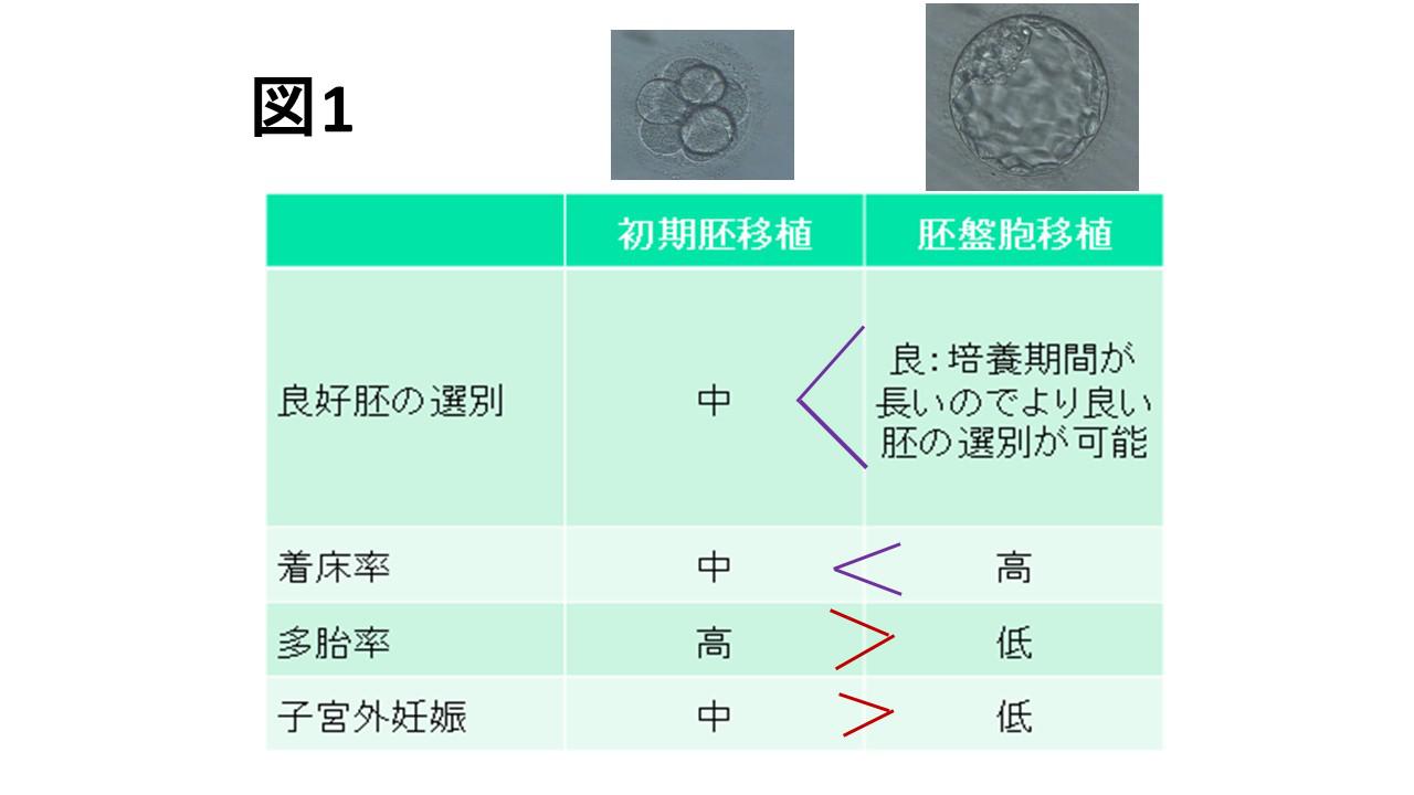 移植⑬.jpg