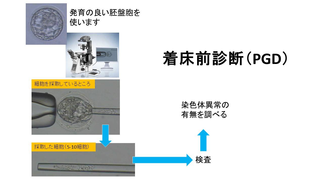 1.27　峰 最新版 妊娠や流産について知っておきたい知識.jpg