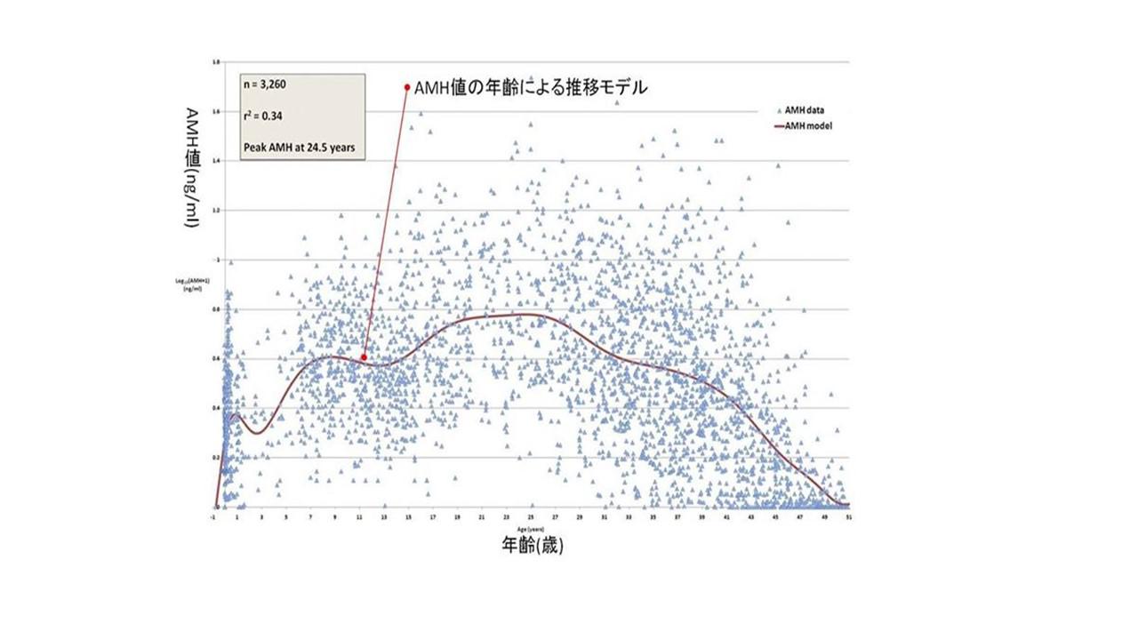 妊娠に関する身体のことOK.jpg